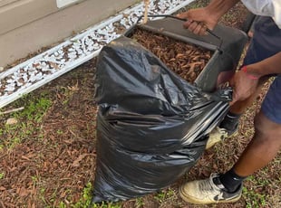 Leaf Removal by Wade Rupe for Dianne D. in Arlington, TX