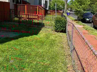Bush Trimming by Norman Blanchard for Loniese C. in Washington, DC