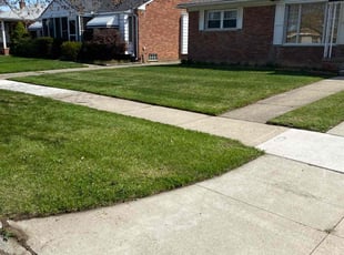 Kaleb H.'s Lawn Care service result