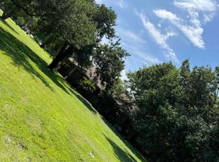 Laryn G.'s Yard Cutting service result