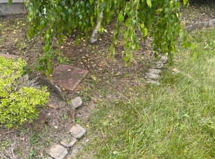 Weeding by Dwayne Galloway for Tabatha B. in Reynoldsburg, OH
