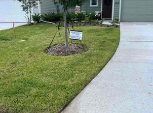 Mai D.'s Grass Cutting service result