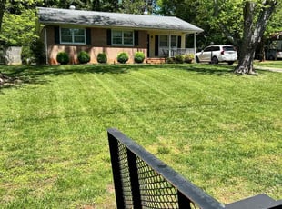 Steve A.'s Lawn Care service result