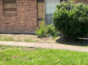 Bush Trimming by Cathy Anderson for Martha M. in Houston, TX
