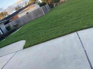 Carolyn S.'s Lawn Mowing service result
