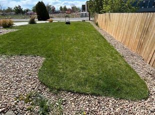Sheila D.'s Lawn Service service result
