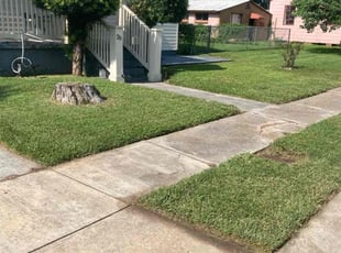 Bush Trimming by James Rayford for Mike M. in Jefferson, LA