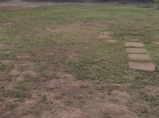 Cleanups by Brendan Hennesay for Sonya A. in Del Rey, CA