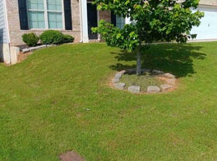 John E.'s Lawn Maintenance service result