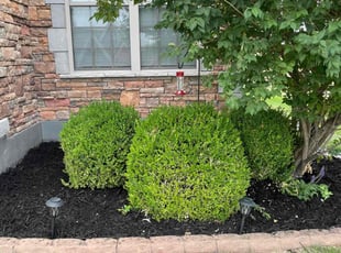 Mulching by Jacob Russi for Kara B. in Lee's Summit, MO