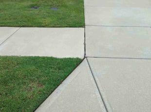 Andrea G.'s Lawn Mowing service result
