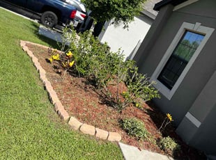 Weeding by Johnny Torres for Lawrence C. in Ruskin, FL