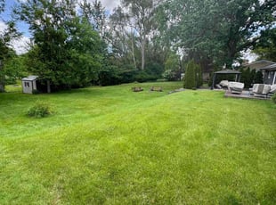 Michaelene R.'s Lawn Maintenance service result