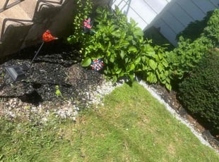 Weeding by Lenox Flowers for Sharon F. in West Hartford, CT