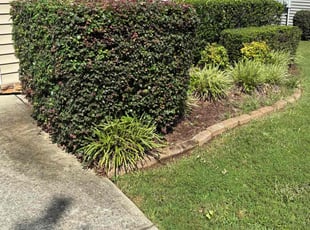Bush Trimming by Ryan Gerber for Angel D. in Holly Springs, NC