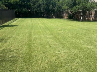 Jim M.'s Lawn Mowing service result