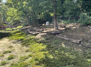 Cleanups by Fidel Rodriguez for Sarah P. in Springfield, VA