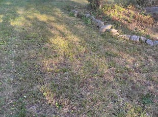 Bush Trimming by Michelle Slaughter for Dean S. in Knoxville, TN