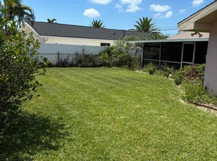 Larry K.'s Lawn Mowing service result