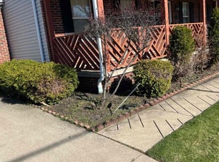 Weeding by David Knowlton Jr for Kaylah D. in Cleveland, OH