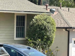 Bush Trimming by Jose Olivares for Jennifer O. in Glendale, CA