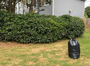 Bush Trimming by Matthew Smith for Rebecca C. in Acworth, GA
