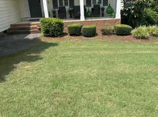 Bush Trimming by Billy Bryant for melissa C. in Clayton, NC
