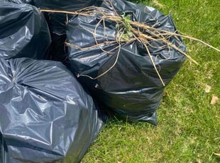 Leaf Removal by Paris Green for Louis C. in Rochester, NY