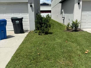 Anthony E.'s Lawn Mowing Service service result