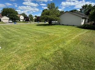 Diane J.'s Lawn Care service result