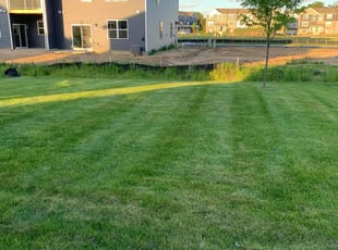 Marie S.'s Lawn Service service result