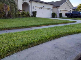 Michelle K.'s Lawn Care service result