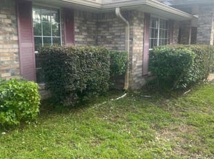 Bush Trimming by Jr Valle for Nicole K. in Palm Coast, FL