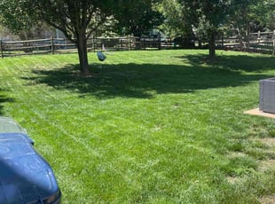 Bradley J.'s Grass Cutting service result