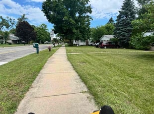 Aziza H.'s Yard Cutting service result