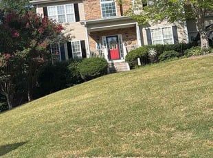 Ellen H.'s Lawn Service service result