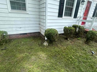 Bush Trimming by James Mozelle for Brooklyn S. in Newport News, VA