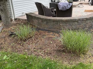 Cleanups by Jeremy Reichard for Denise G. in Allentown, PA