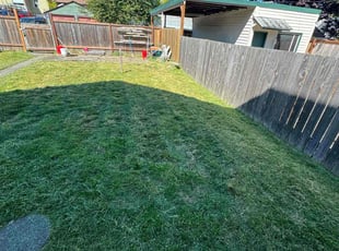 Umar T.'s Lawn Service service result
