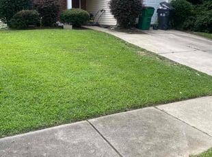 Marilem D.'s Lawn Service service result