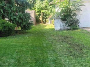 Bush Trimming by Donnie Jeffries for Daniel B. in Springfield, MO