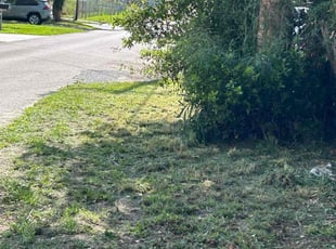 Leaf Removal by Trayvon Griggs for Tena H. in Tavares, FL