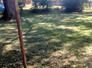 Leaf Removal by Jeremy Partaine for Susan B. in Memphis, TN