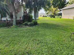 Ellen V.'s Lawn Mowing service result