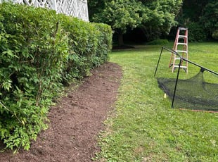 Bush Trimming by Thomas Cottle for Jathan D. in Williamsburg, VA