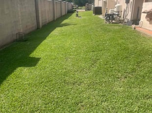 ANN C.'s Grass Cutting service result