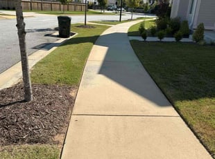 Chris O.'s Lawn Mowing service result