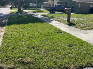 Carlito C.'s Lawn Service service result