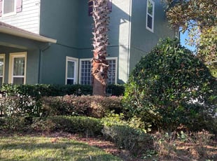Bush Trimming by John Weber for Alex M. in Windermere, FL