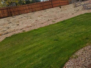 Weeding by Brayden Summers for Darshan Y. in Parker, CO